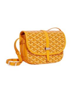 [프리미엄/해외배송]고야드 벨베데르 백 PM(옐로우)