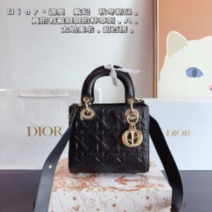 [국내배송]디올 레이디 백